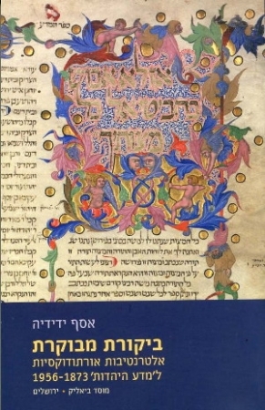 ביקורת מבוקרת
